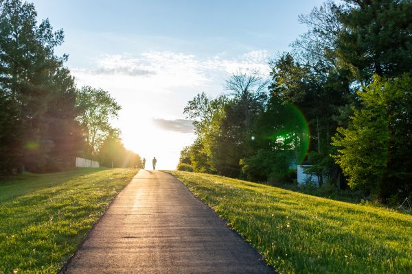 Cost of Asphalt Pathway Installation in League City
