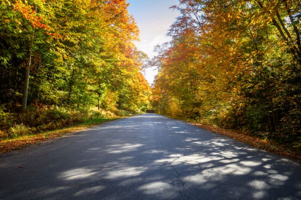 Cost of Blacktop Replacement in League City